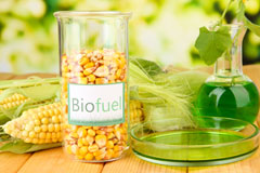 Pengenffordd biofuel availability